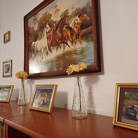 Letnisko Nad Goplem Villa Skulsk Ngoại thất bức ảnh